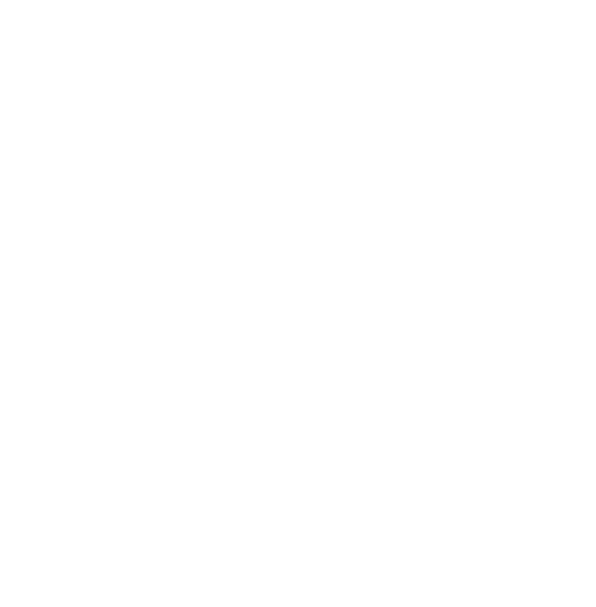 Person with a megaphone