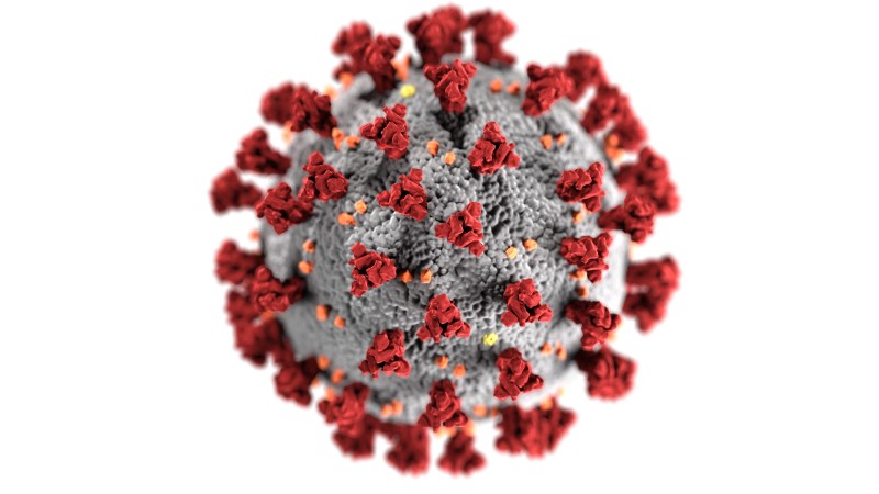 Picture of the Corona virus.
